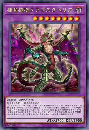 捕食植物ドラゴスタペリア